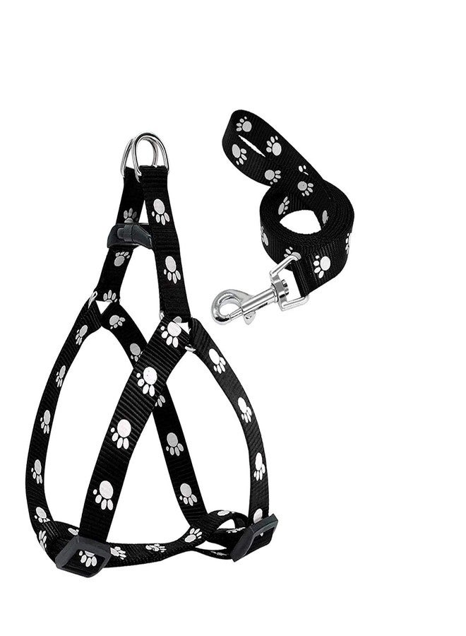 KittuPet Adjustable Nylon Leash with Harness Set Printed Nylon Puppy Harness for Small & Medium Dogs Color May Vary (0.75-inch) - Image 4
